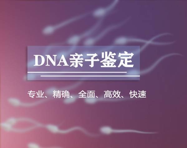 河北省隐私亲子鉴定办理的条件,河北省隐私亲子鉴定如何做