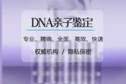 河北上户口亲子鉴定出结果时间,河北迁户亲子鉴定如何办理 河北上户口亲子鉴定出结果时间,河北迁户亲子鉴定如何办理