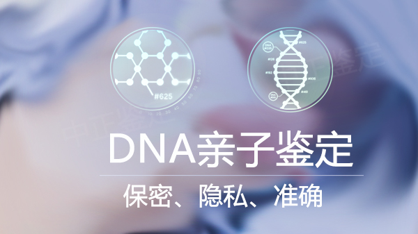 河北DNA鉴定去哪查找,