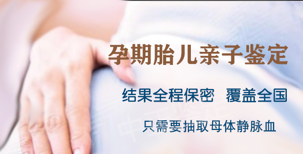 河北省父亲和胎儿需要如何做DNA鉴定,河北省无创孕期亲子鉴定大概多少费用 河北省父亲和胎儿需要如何做DNA鉴定,河北省无创孕期亲子鉴定大概多少费用