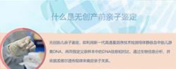 河北怀孕了如何鉴定孩子是谁的,河北产前亲子鉴定大概价格 河北怀孕了如何鉴定孩子是谁的,河北产前亲子鉴定大概价格