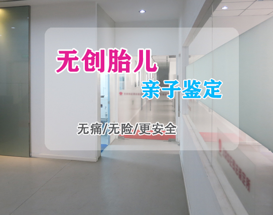河北省怀孕亲子鉴定办理流程, 河北省怀孕亲子鉴定办理流程,