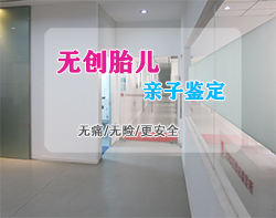 河北省怀孕3个月能办理怀孕亲子鉴定吗，河北省办理无创孕期亲子鉴定收费标准是多少