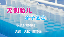 河北孕期亲子鉴定需要什么材料和流程,河北去哪里做怀孕亲子鉴定 河北孕期亲子鉴定需要什么材料和流程,河北去哪里做怀孕亲子鉴定