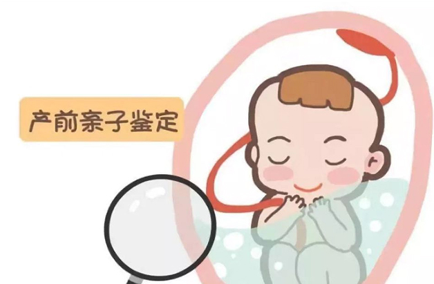 河北怀孕亲子鉴定机构到哪,