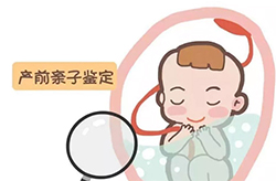 河北怀孕亲子鉴定机构到哪 河北怀孕亲子鉴定机构到哪