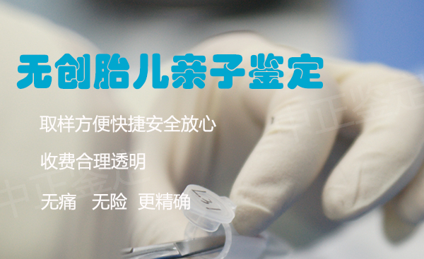 河北省怀孕亲子鉴定办理流程, 河北省怀孕亲子鉴定办理流程,