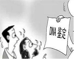 河北司法DNA鉴定如何做,河北司法DNA亲子鉴定要多少钱的费用 河北司法DNA鉴定如何做,河北司法DNA亲子鉴定要多少钱的费用