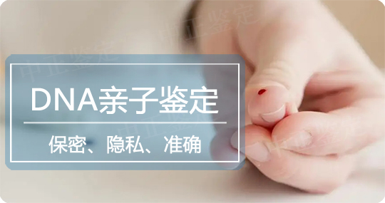 河北亲子鉴定中心咨询服务